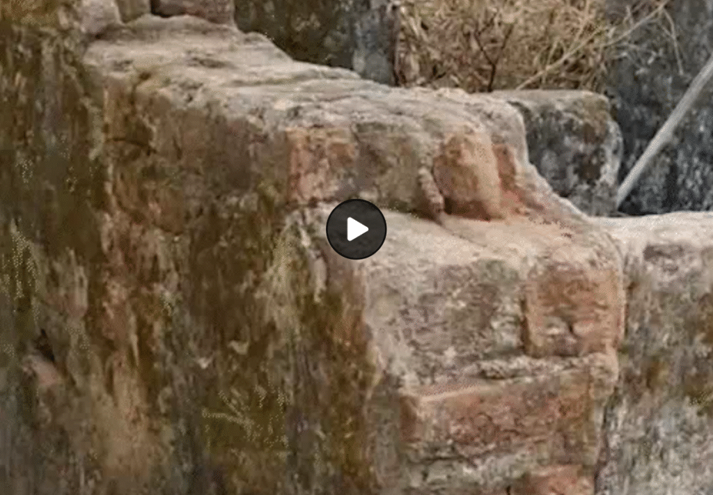 छत्तीसगढ़ के स्कूलों में दिव्यांगों के लिए टॉयलेट का सच : 195 करोड़ खर्च, 90% शौचालय उपयोग लायक नहीं