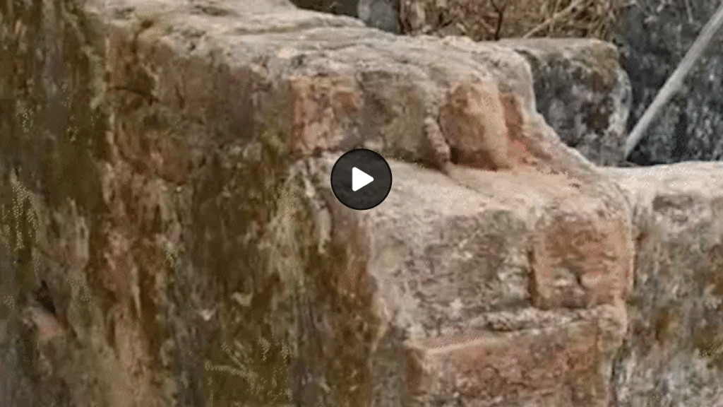 छत्तीसगढ़ के स्कूलों में दिव्यांगों के लिए टॉयलेट का सच : 195 करोड़ खर्च, 90% शौचालय उपयोग लायक नहीं