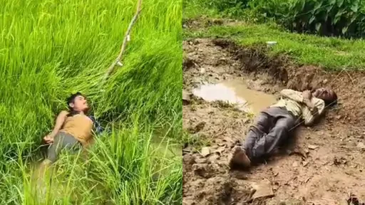 सरगुजा में करंट से दो किसानों की दर्दनाक मौत : फसल सुरक्षा के लिए लगाए गए बिजली के तार बने जानलेवा