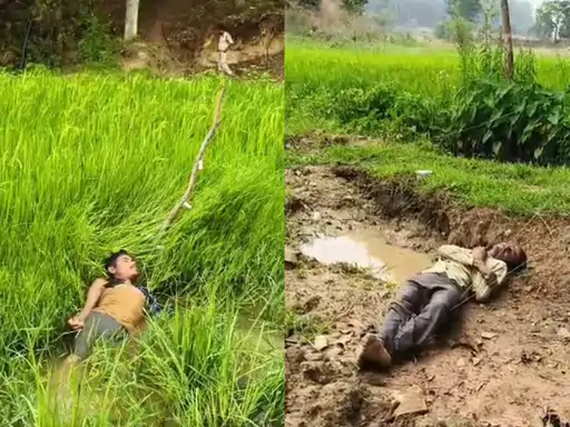 सरगुजा में करंट से दो किसानों की दर्दनाक मौत : फसल सुरक्षा के लिए लगाए गए बिजली के तार बने जानलेवा